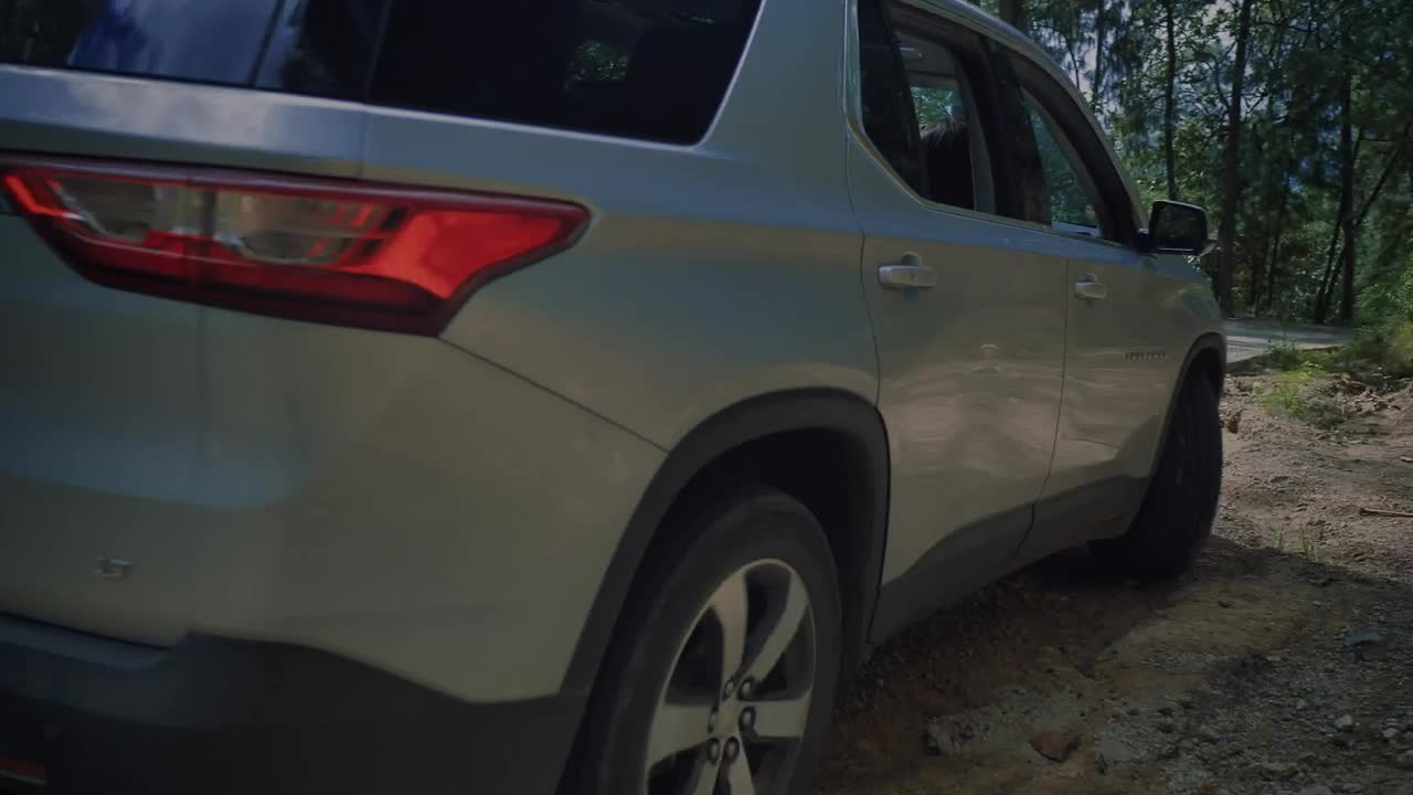 Video Stock Pickup Truck Leaves On A Road In A Forest Live Wallpaper Free