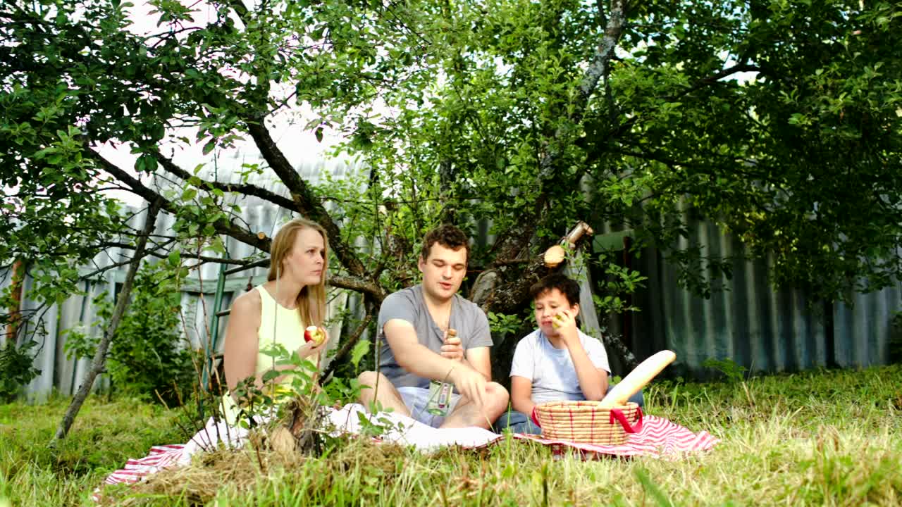 Video Stock Picnic In The Garden Live Wallpaper Free