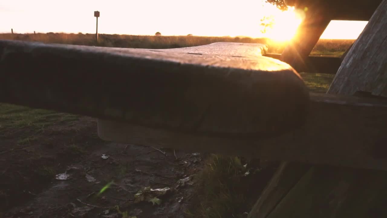 Video Stock Picnic Table In The Forest At Sunset Live Wallpaper Free