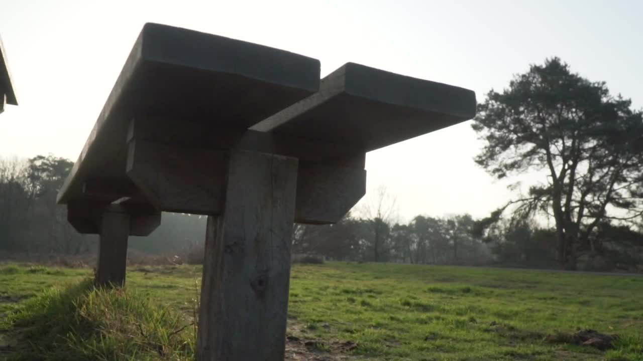 Video Stock Picnic Table In The Forest Live Wallpaper Free