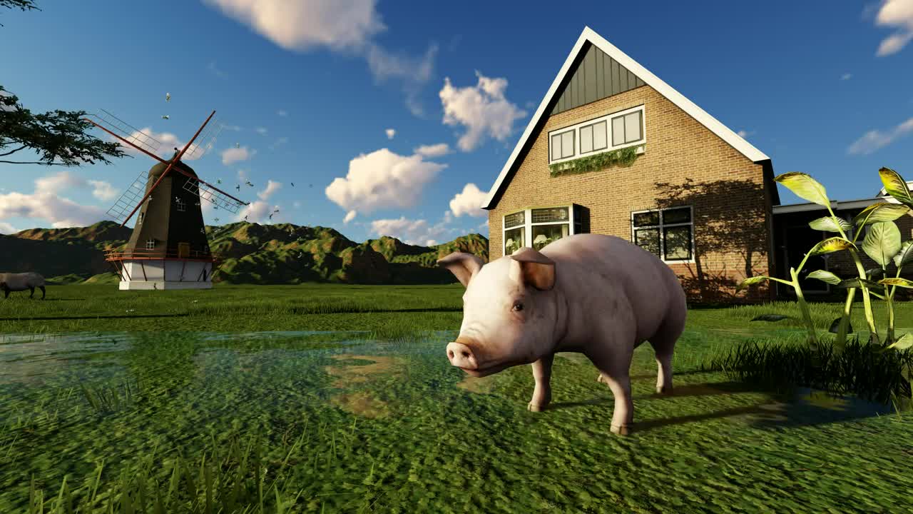 Video Stock Pig Drinking Water From A Lake On A Farm In Live Wallpaper Free