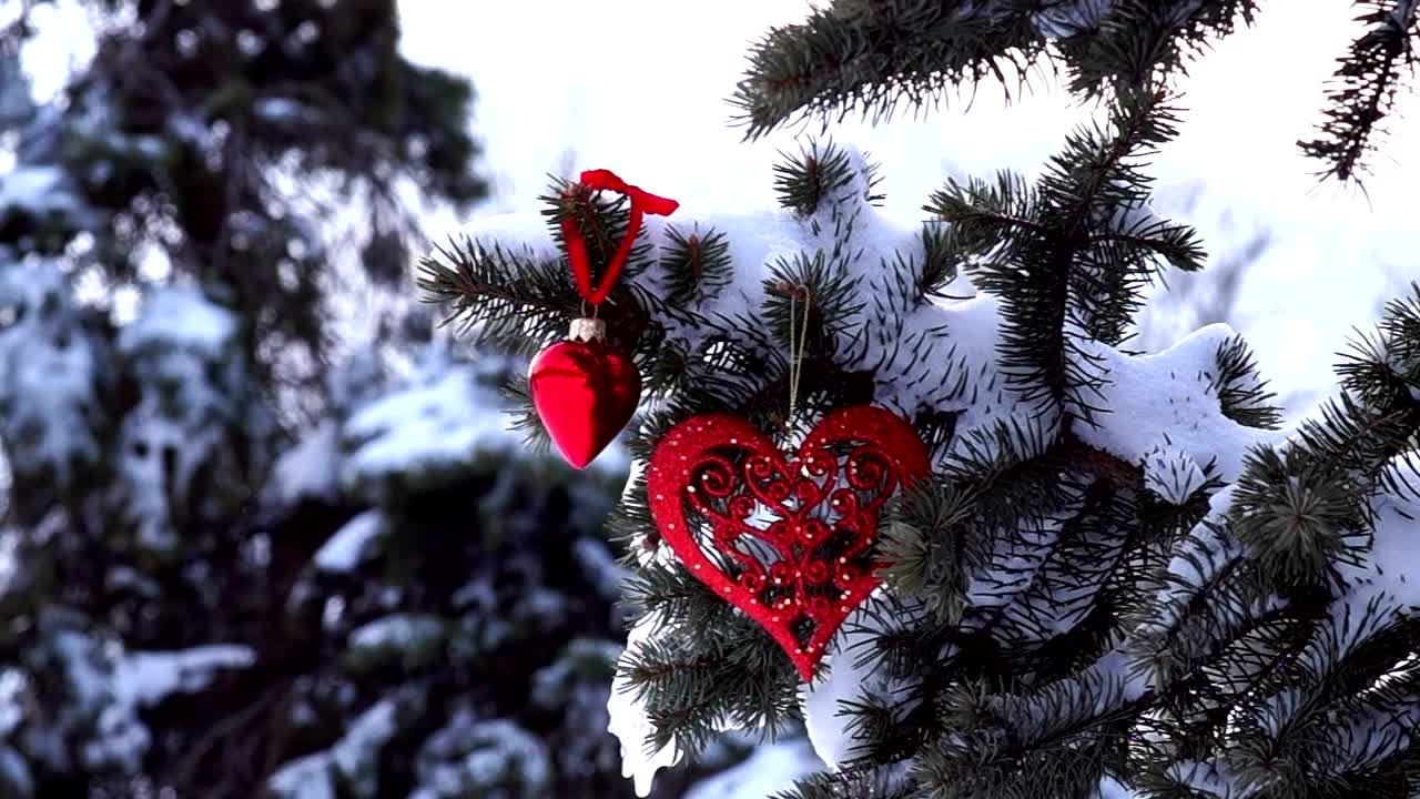 Video Stock Pine Branch Covered In Snow With Decoration Live Wallpaper Free