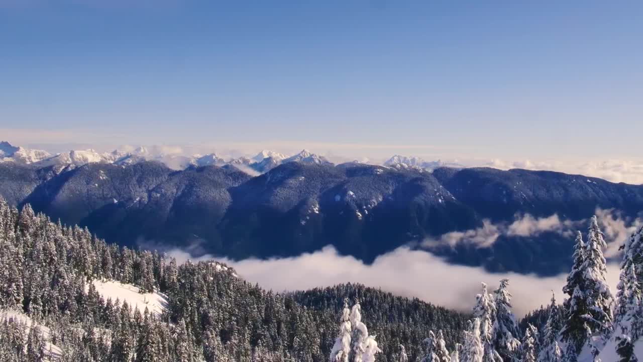 Video Stock Pine Covered Snowy Mountain Range Live Wallpaper Free
