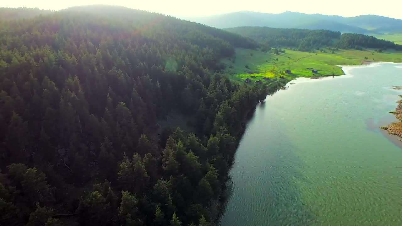 Video Stock Pine Forest And Lake Landscape Live Wallpaper Free