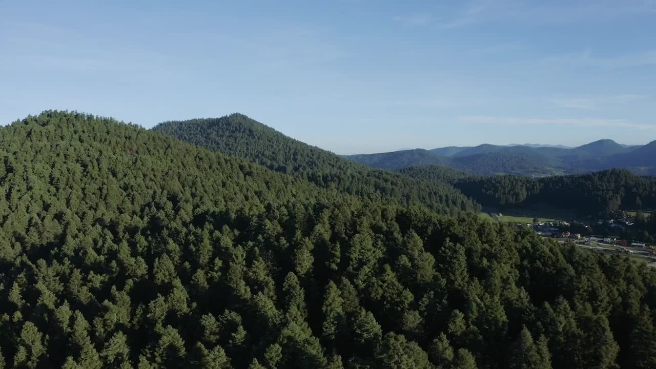 Video Stock Pine Forest On A Mountain Range Tour Aerial Shot Live Wallpaper Free