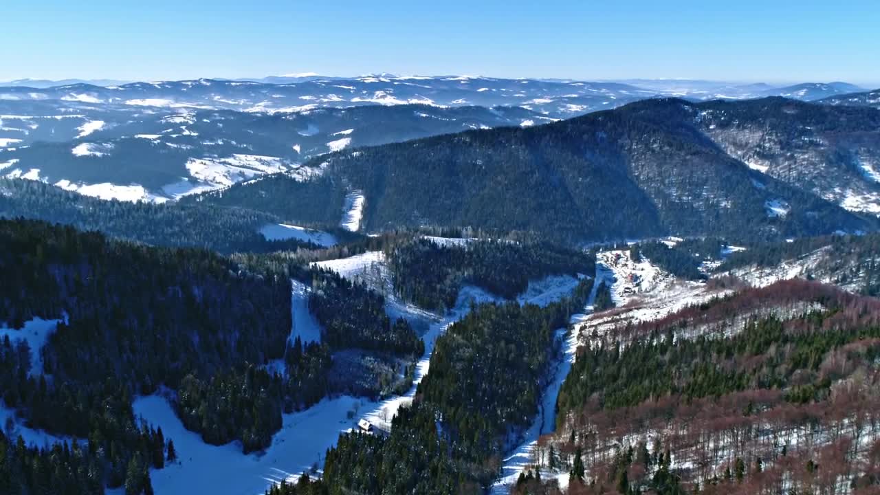 Video Stock Pine Forests In Snowy Mountains Aerial Landscape Live Wallpaper Free