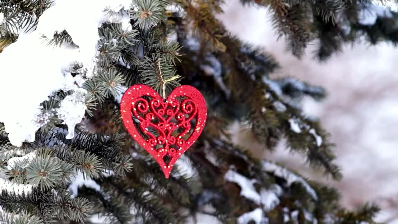 Video Stock Pine Tree Covered In Snow With Decoration Live Wallpaper Free