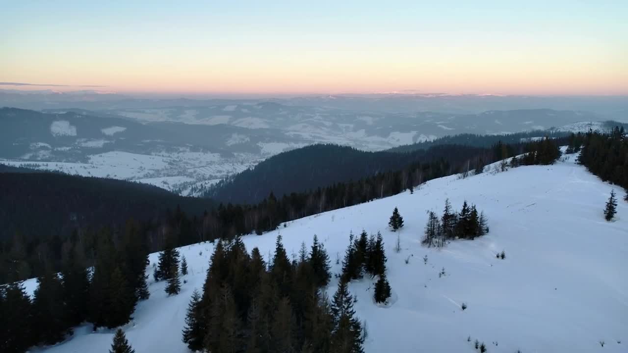 Video Stock Pine Trees In A Winter Mountain At Sunset Live Wallpaper Free