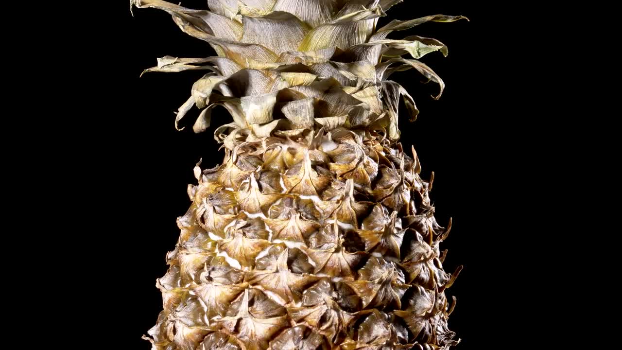 Video Stock Pineapple Fruit Rotating Live Wallpaper Free