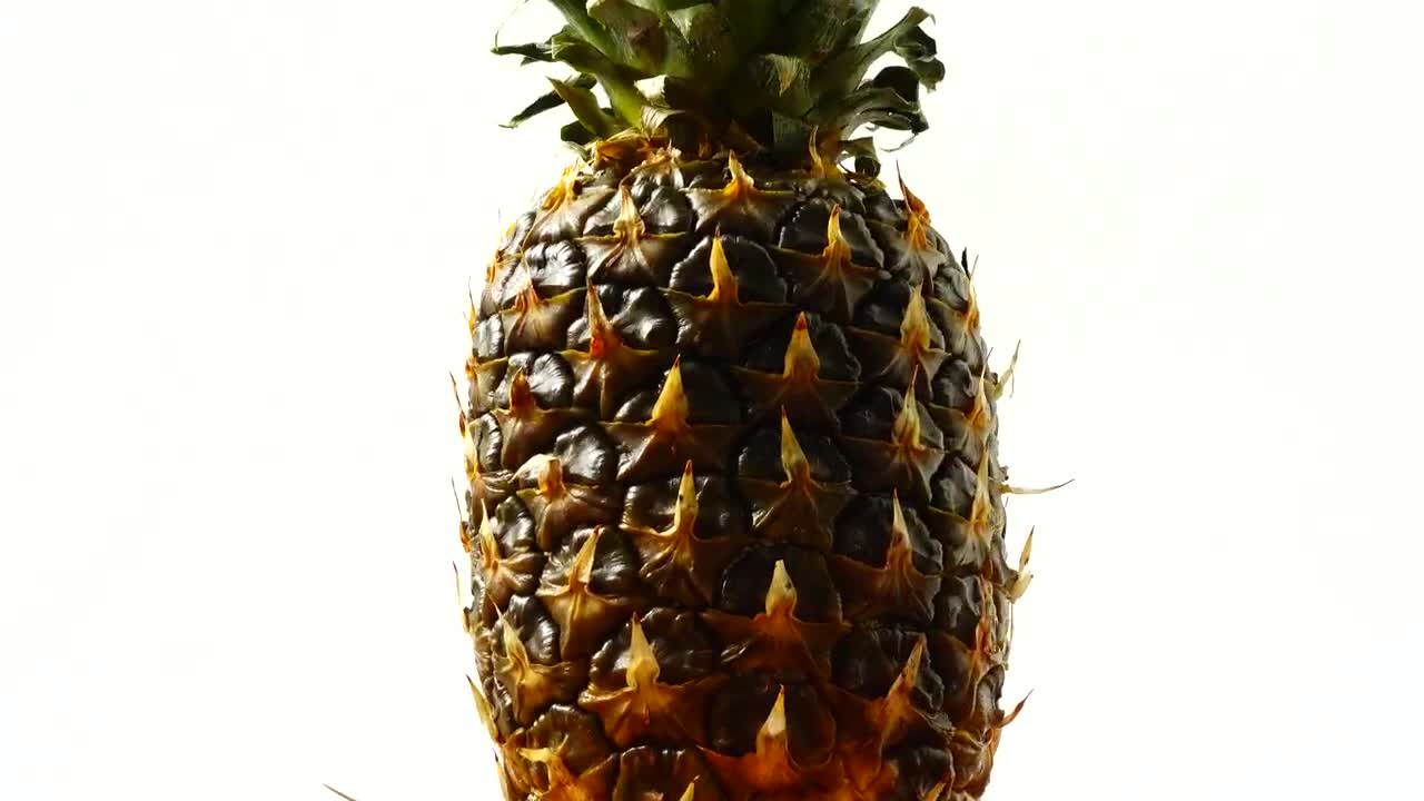 Video Stock Pineapple Spinning On A White Background Live Wallpaper Free