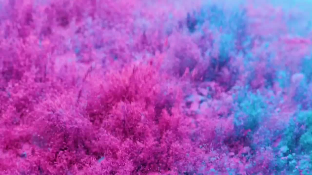 Video Stock Pink And Blue Powder Live Wallpaper Free
