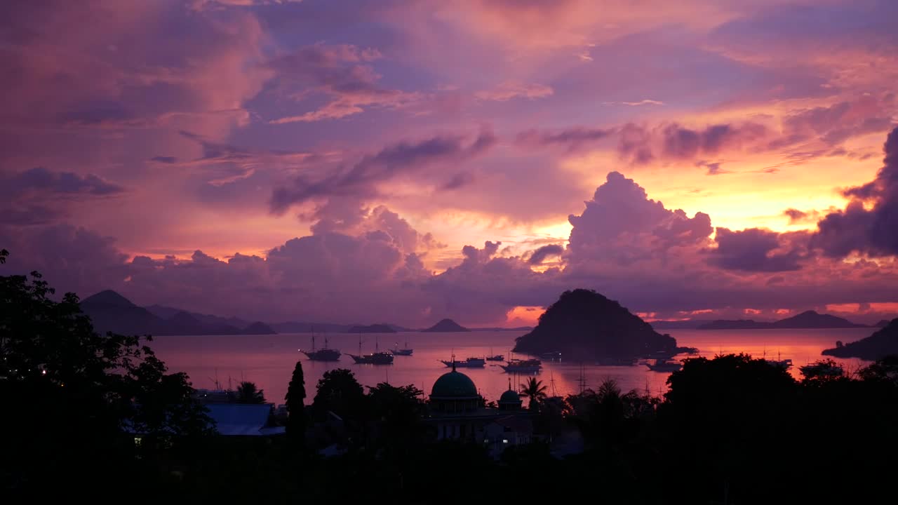 Video Stock Pink Sunset On A Tropical Landscape Live Wallpaper Free