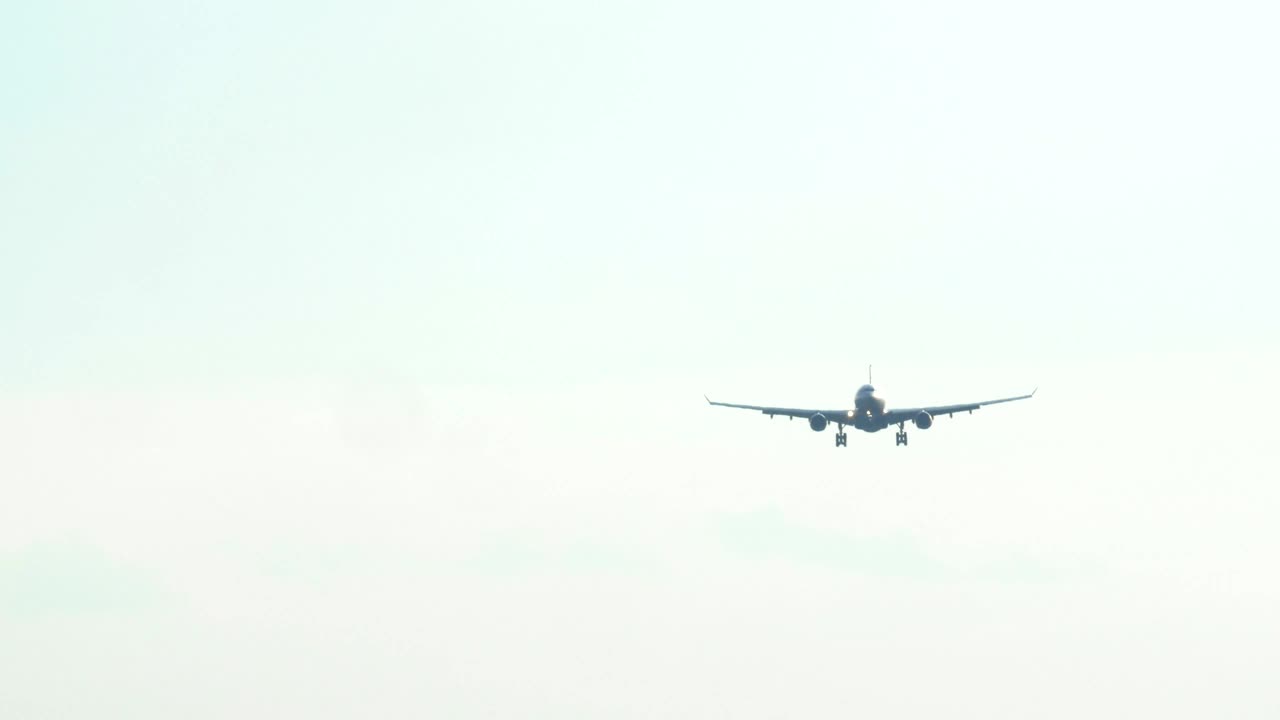 Video Stock Plane Landing In The Early Morning Live Wallpaper Free