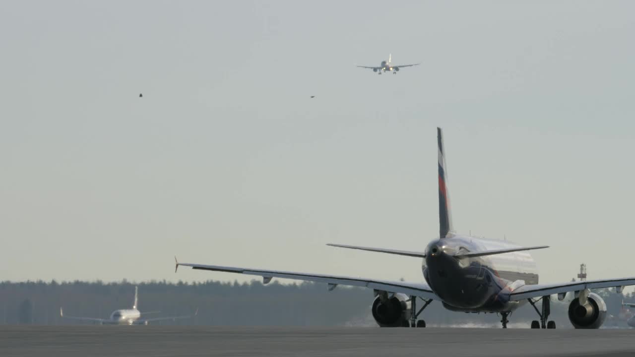 Video Stock Plane Landing While Another Moves To Take Off Live Wallpaper Free