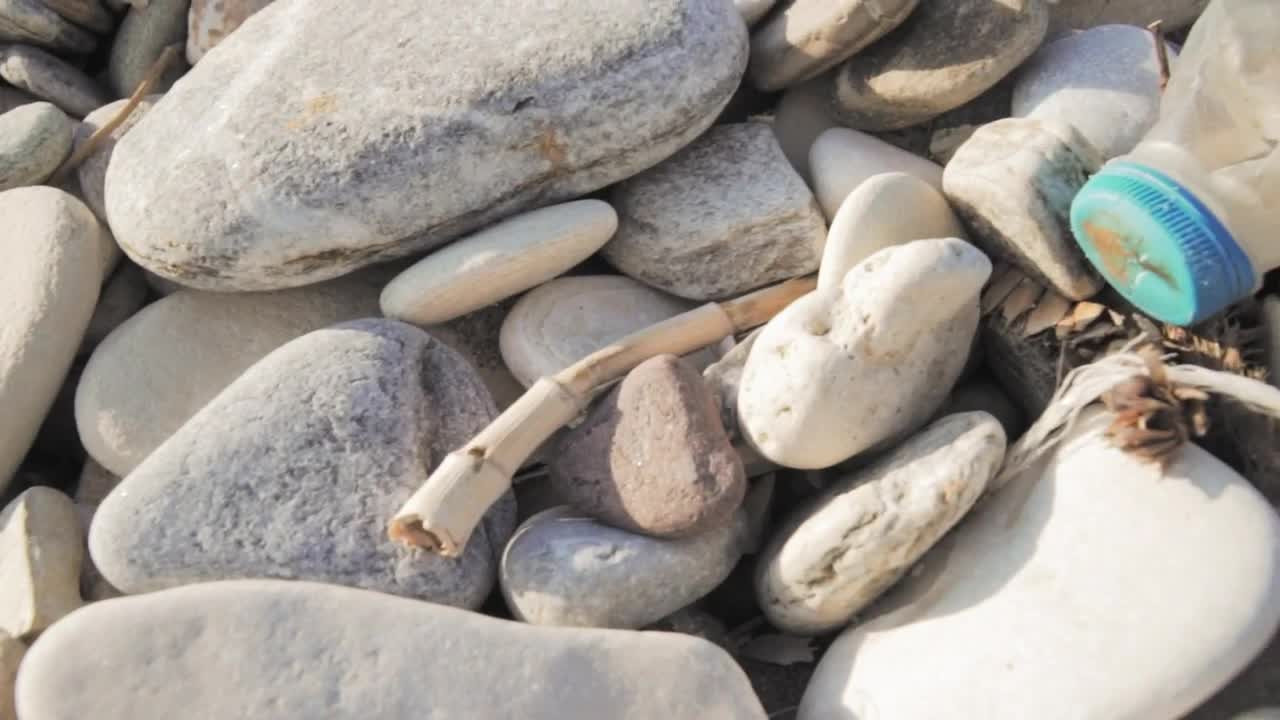 Video Stock Plastic Bottle Lying On The Beach Live Wallpaper Free