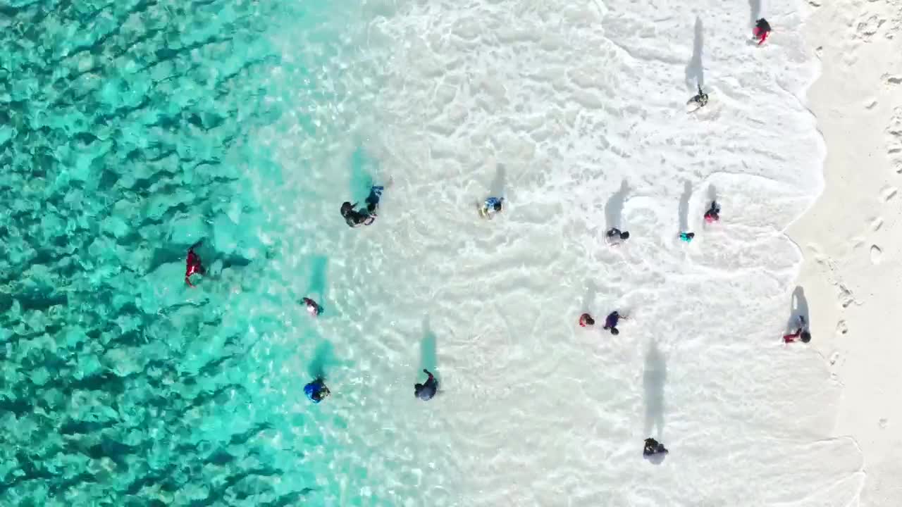 Video Stock Playing At The Beach Live Wallpaper Free