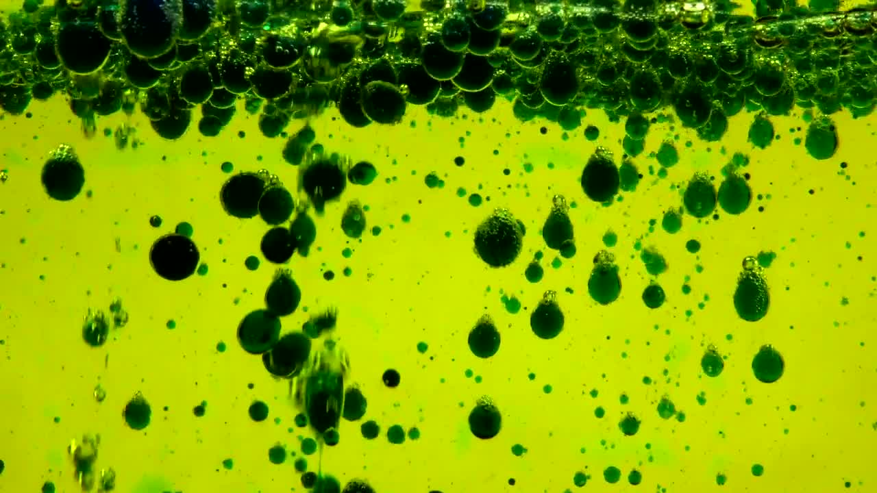 Video Stock Pond With Green Oil Bubbles Live Wallpaper Free