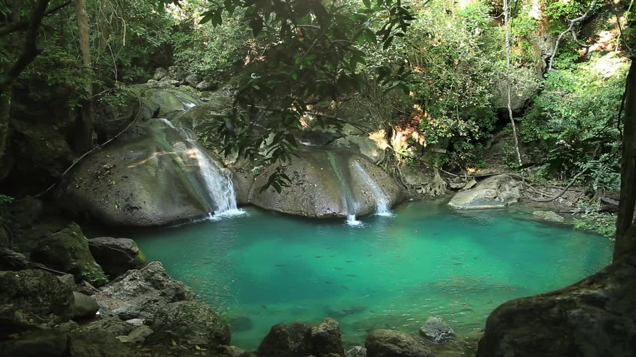 Video Stock Pool With Waterfalls In The Jungle Live Wallpaper Free