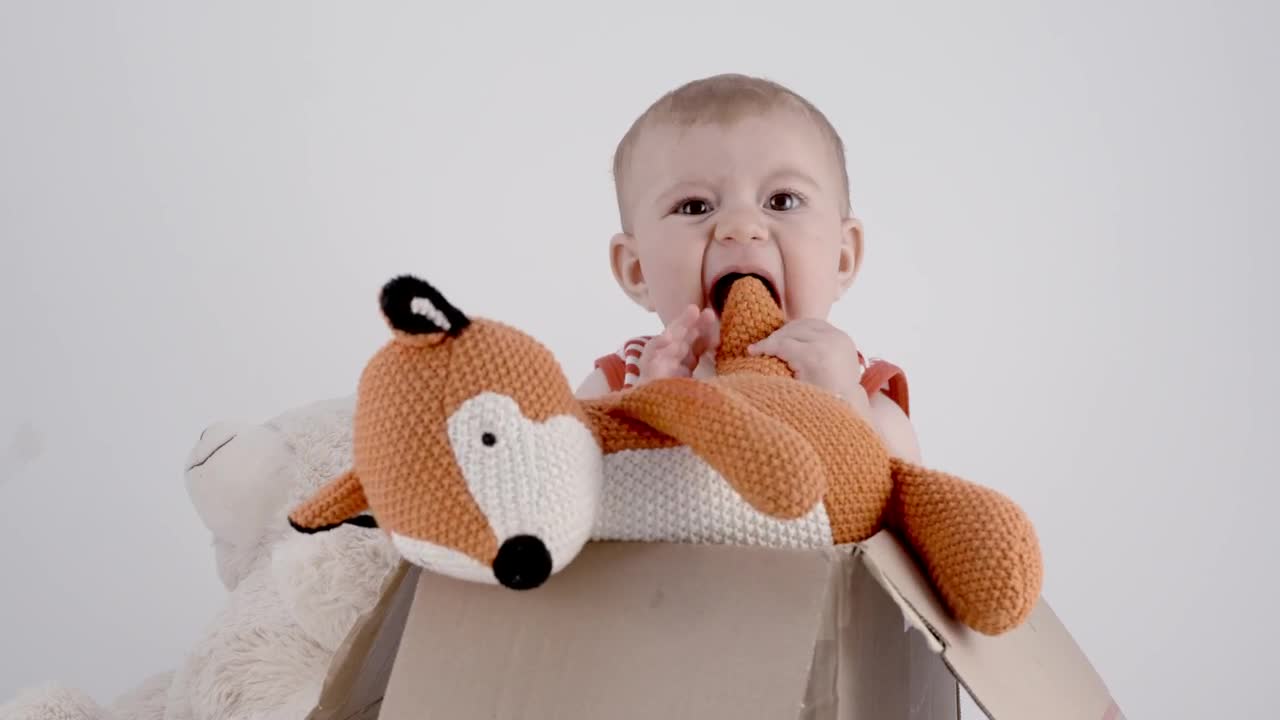 Video Stock Portrait Of A Baby With Teddies Live Wallpaper Free