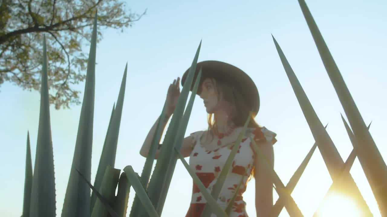Video Stock Portrait Of A Girl In A Sunny Maguey Field Live Wallpaper Free
