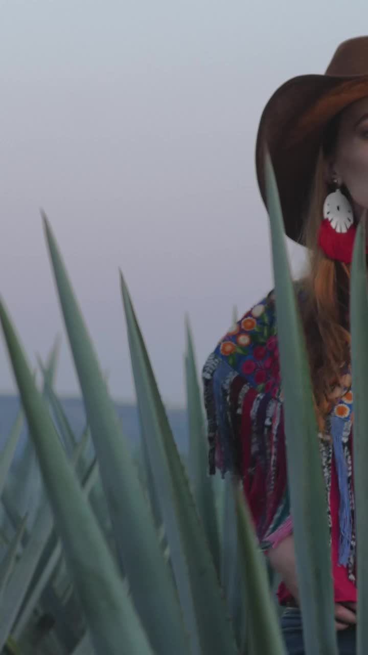 Video Stock Portrait Of A Girl In Mexican Attire Among Magueys Live Wallpaper Free