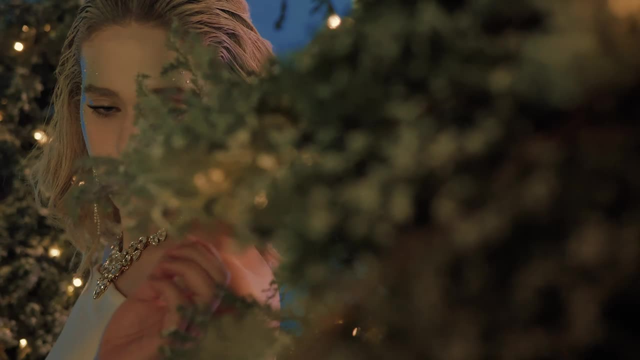 Video Stock Portrait Of A Girl With Winter Makeup Live Wallpaper Free