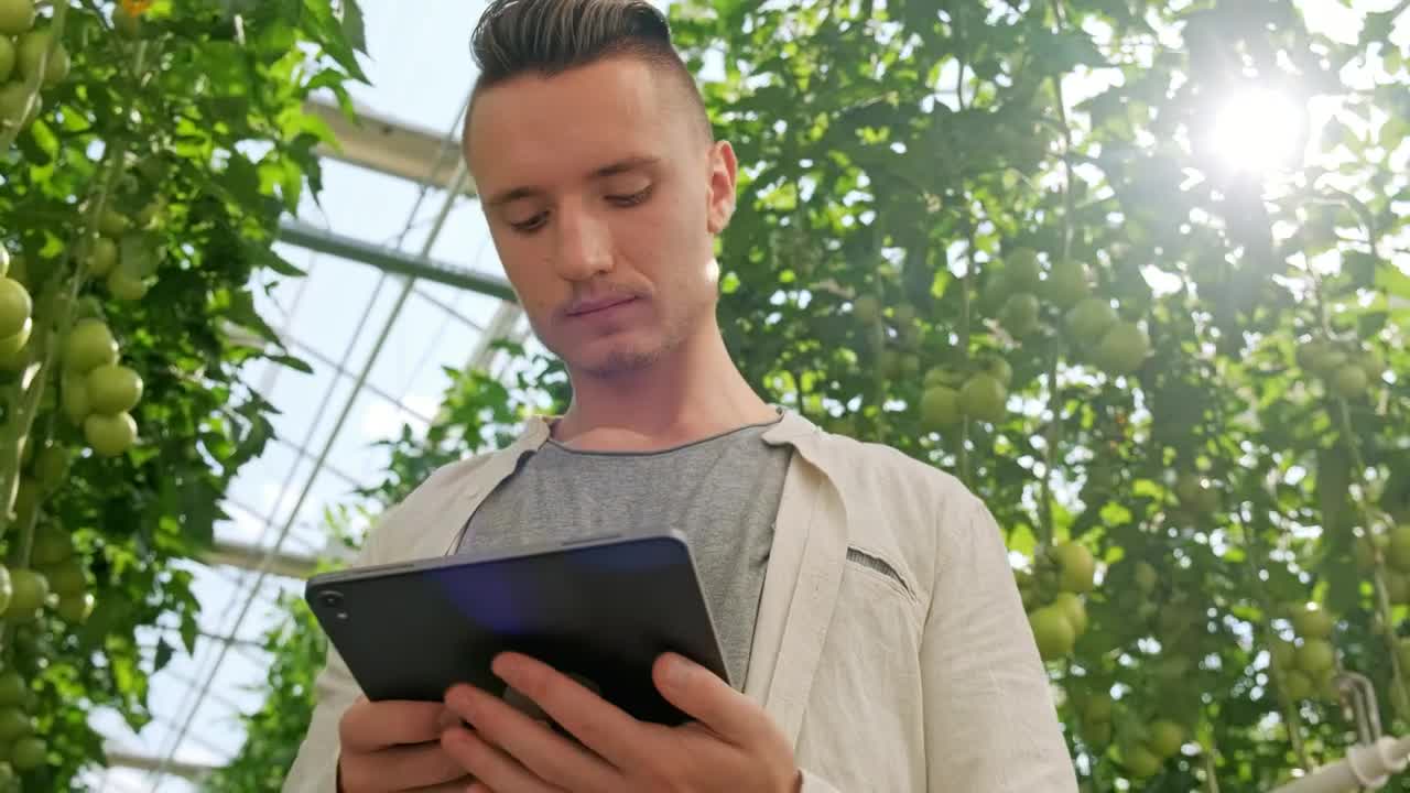 Video Stock Portrait Of A Man Using A Tablet At A Greenhouse Live Wallpaper Free