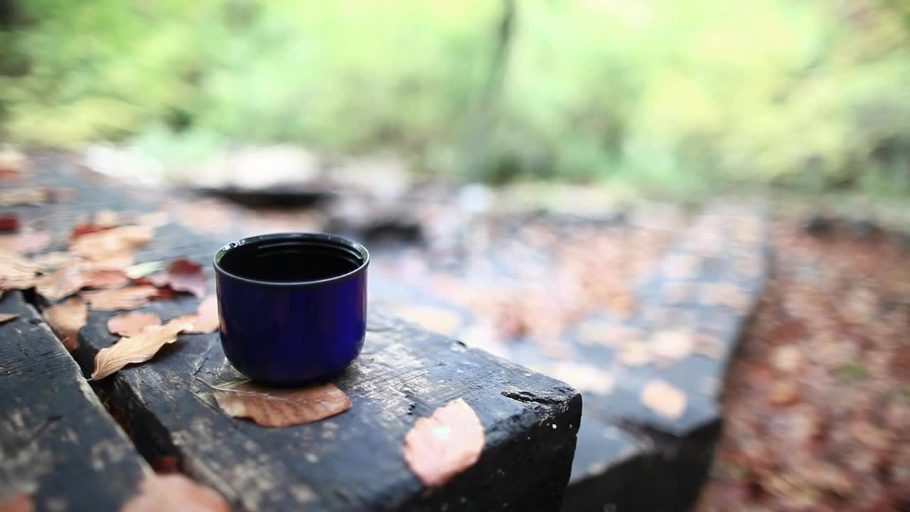 Video Stock Pouring Tea At The Cabin In The Woods Live Wallpaper Free