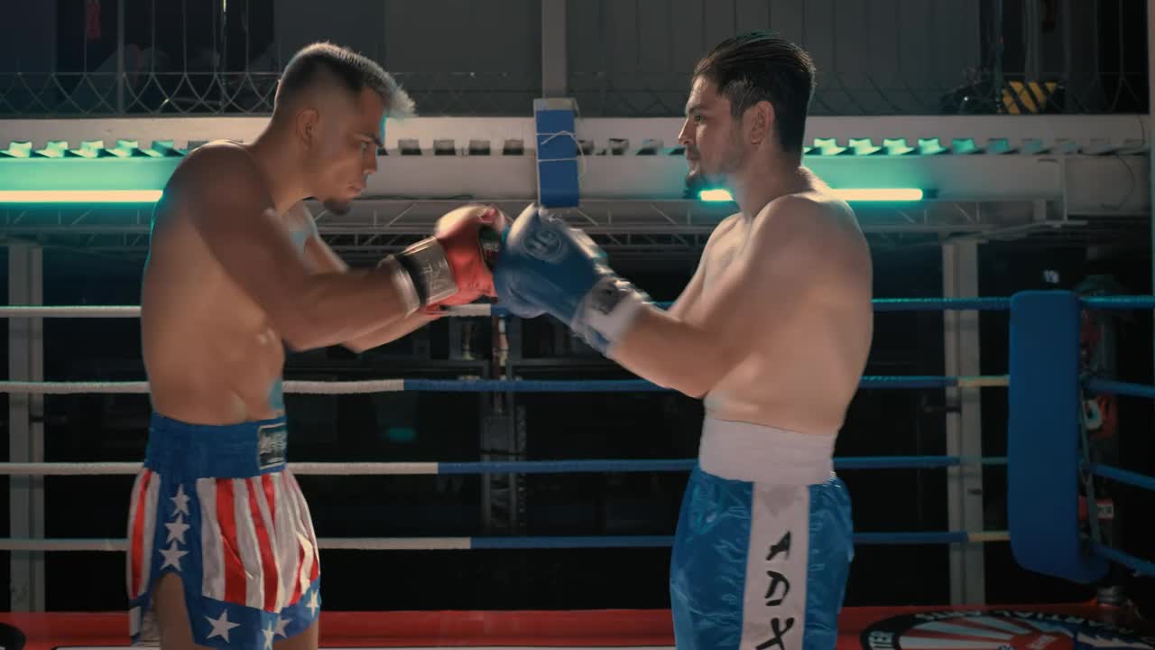 Video Stock Practice Fight Between Boxers Live Wallpaper Free