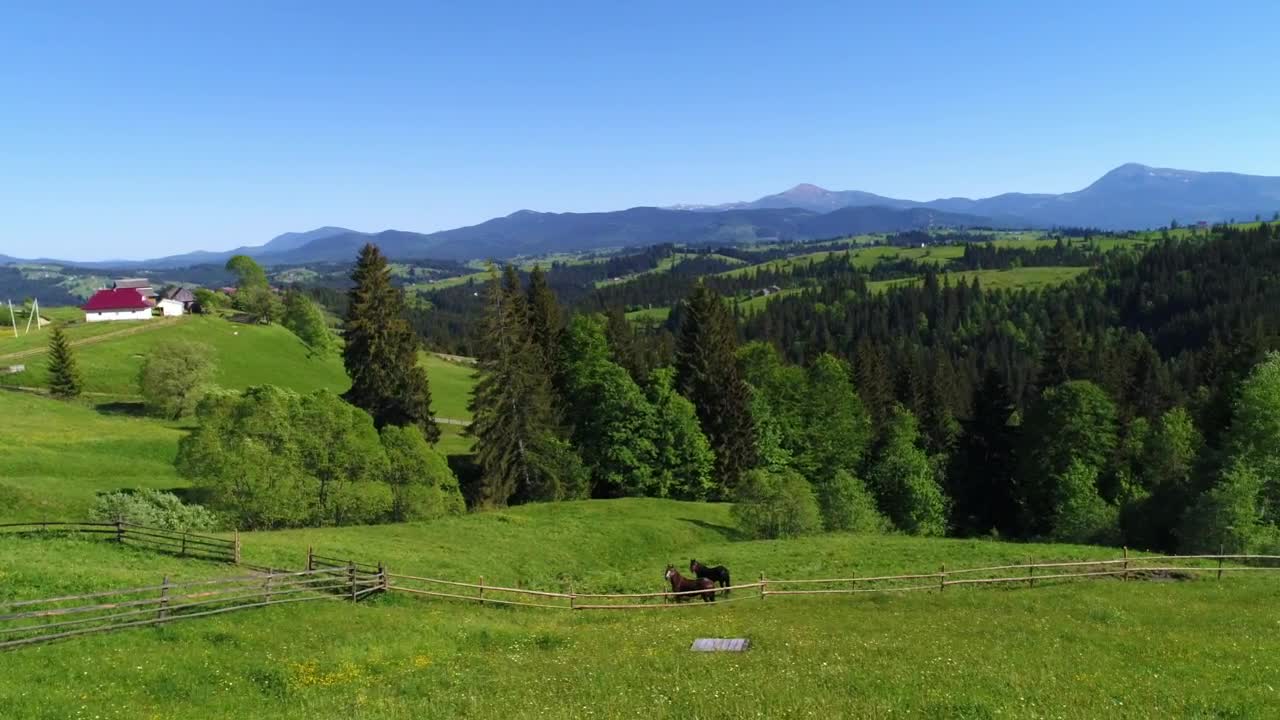 Video Stock Prairie View Of A Ranch With Horses Live Wallpaper Free