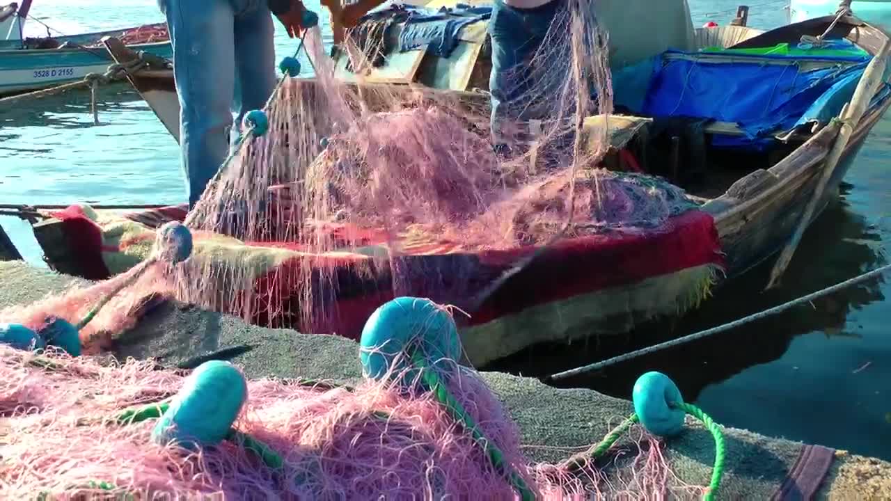 Video Stock Preparing The Net To Go Fishing Live Wallpaper Free