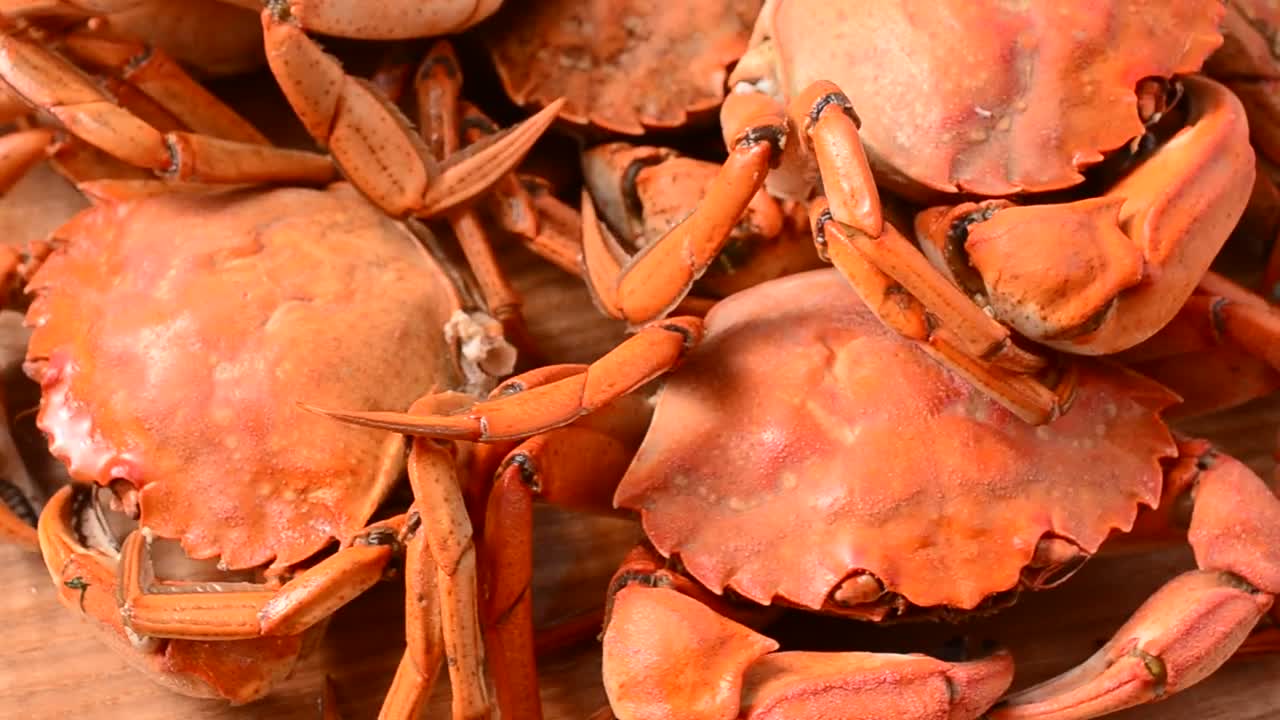 Video Stock Presentation Of Crabs Spinning Shot Live Wallpaper Free
