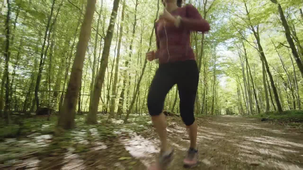 Video Stock Quickly Running Through Woodland Live Wallpaper Free