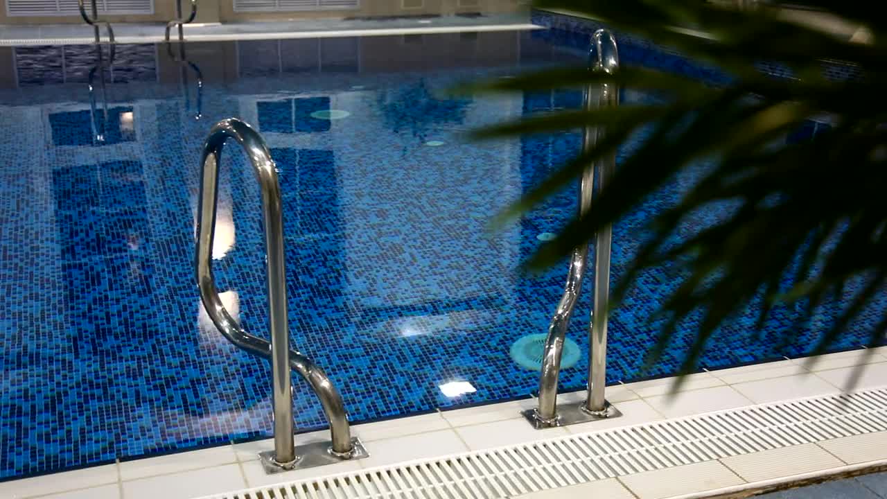 Video Stock Quiet Blue Pool And Palm Live Wallpaper Free