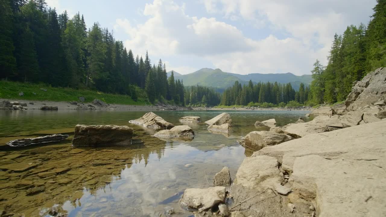 Video Stock Quiet River In The Forest Live Wallpaper Free