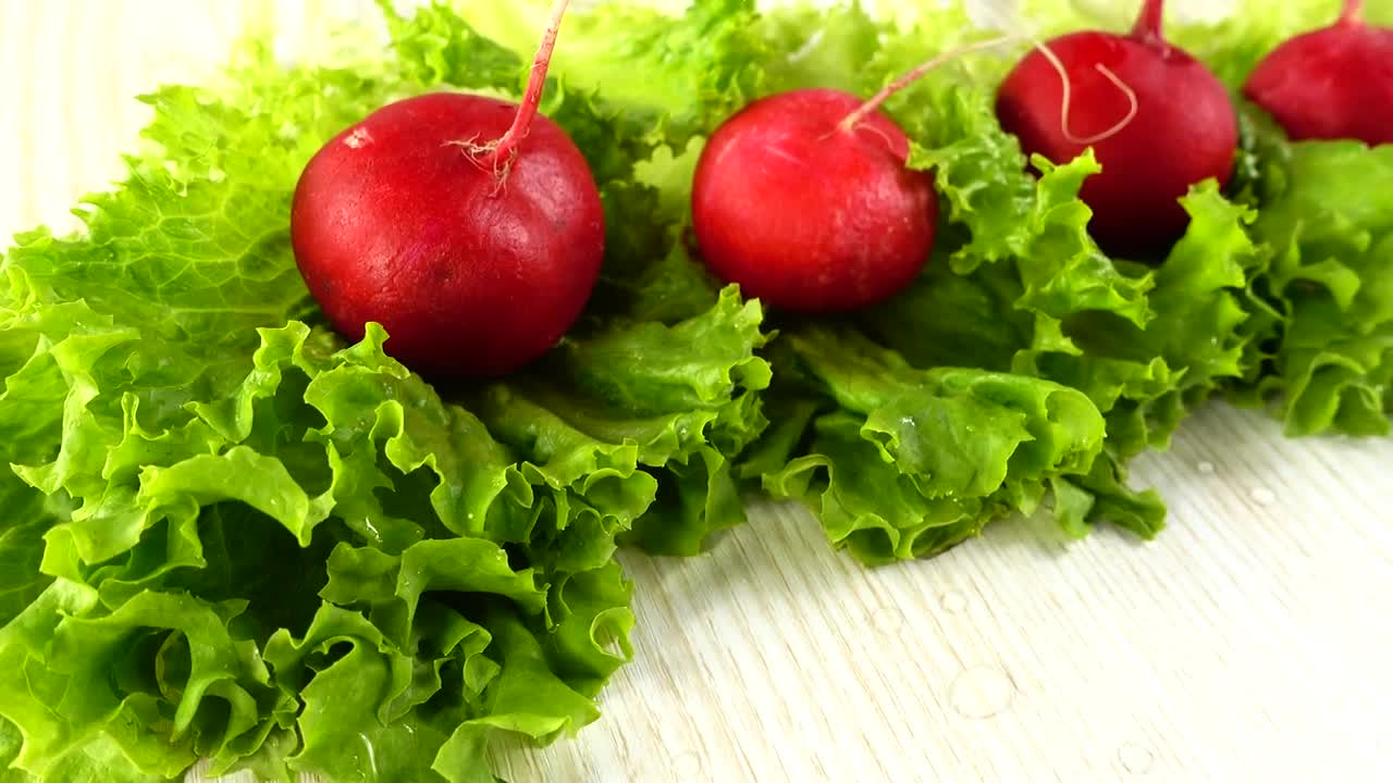 Video Stock Radishes Picked From A Garden Live Wallpaper Free