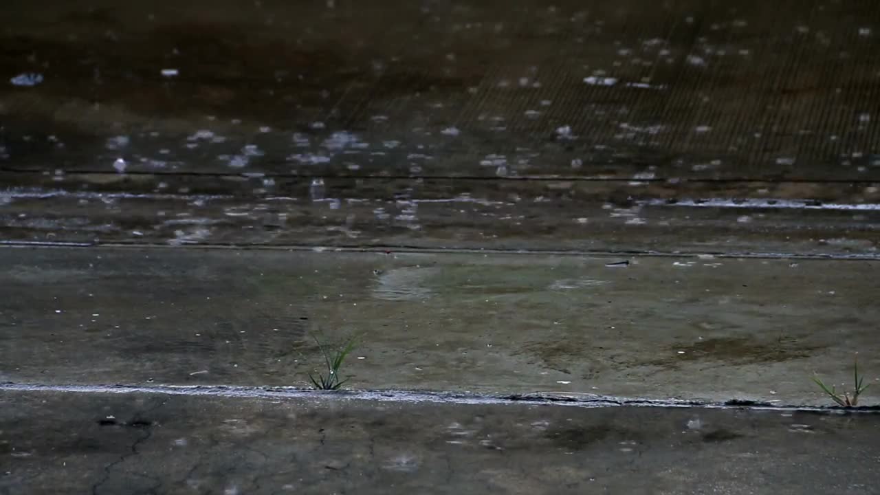 Video Stock Rain Falling On The Street Close Up Live Wallpaper Free