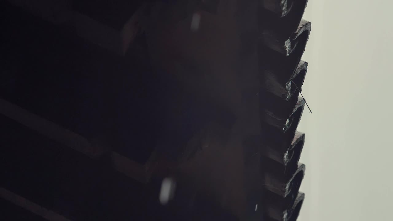 Video Stock Raindrops Falling From Tile Roof Live Wallpaper Free