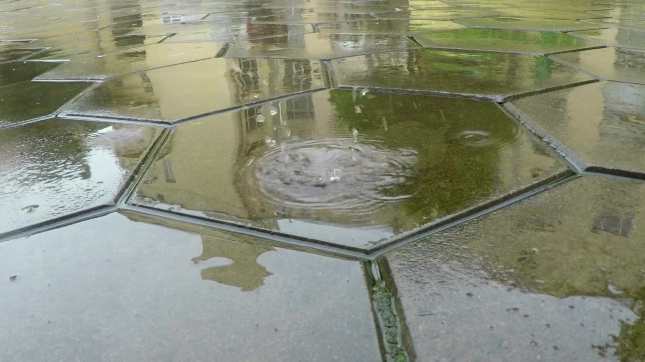 Video Stock Raindrops Falling On The Flagstone Live Wallpaper Free