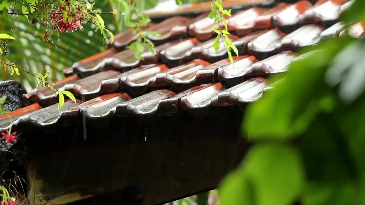 Video Stock Raindrops On A Clay Rooftop Live Wallpaper Free
