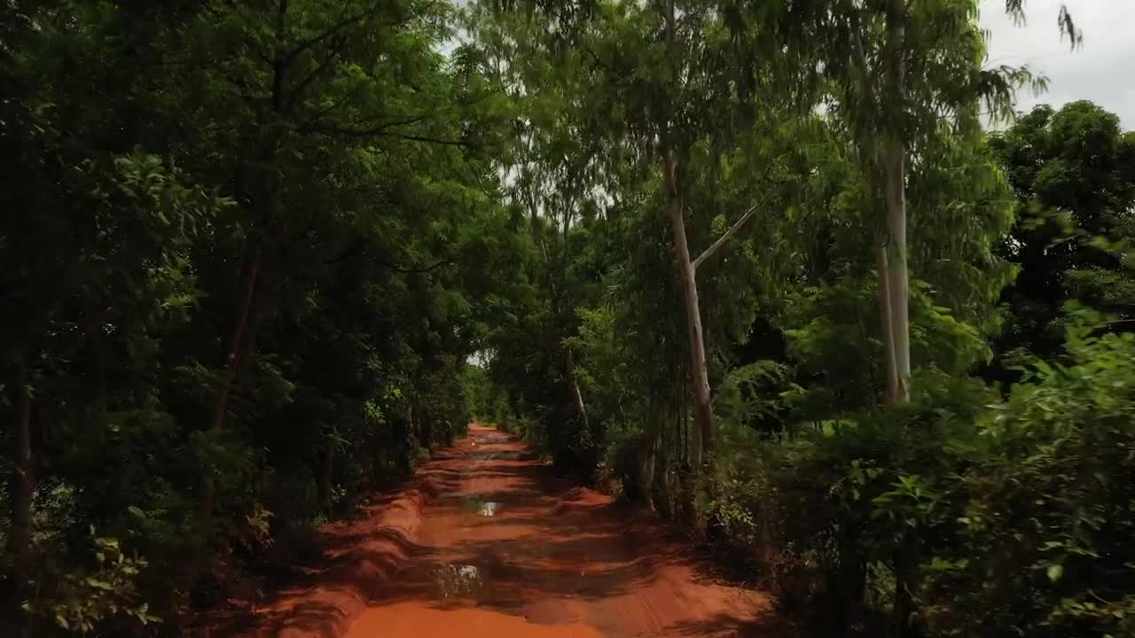 Video Stock Rainfall In Africa Live Wallpaper Free