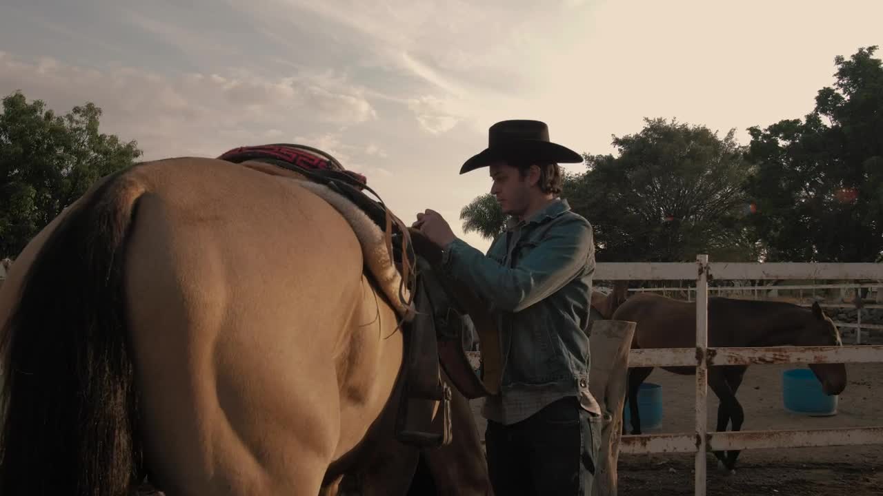 Video Stock Rancher Man Tying A Saddle Chair To A Horse Live Wallpaper Free