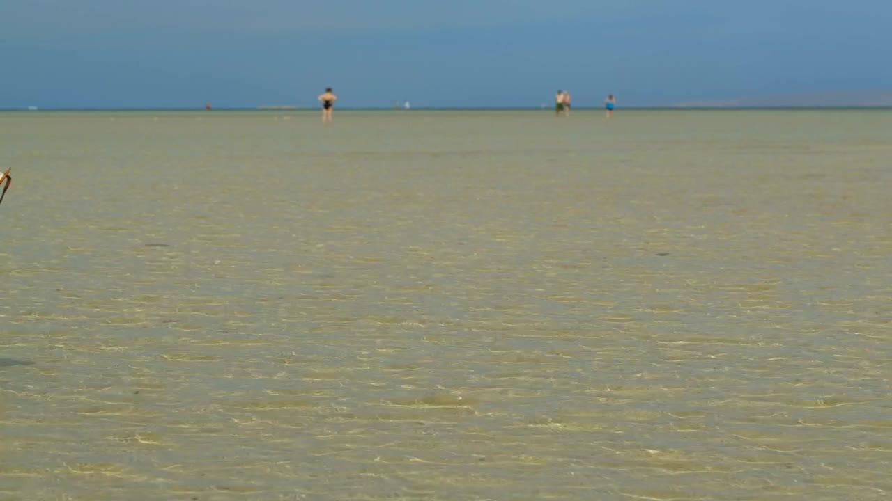 Video Stock Reading A Book In The Ocean Live Wallpaper Free