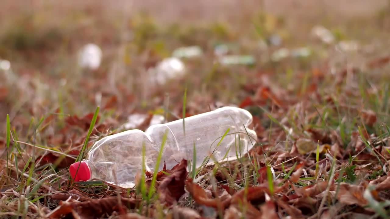 Video Stock Recycling Garbage Dumped In Nature Live Wallpaper Free