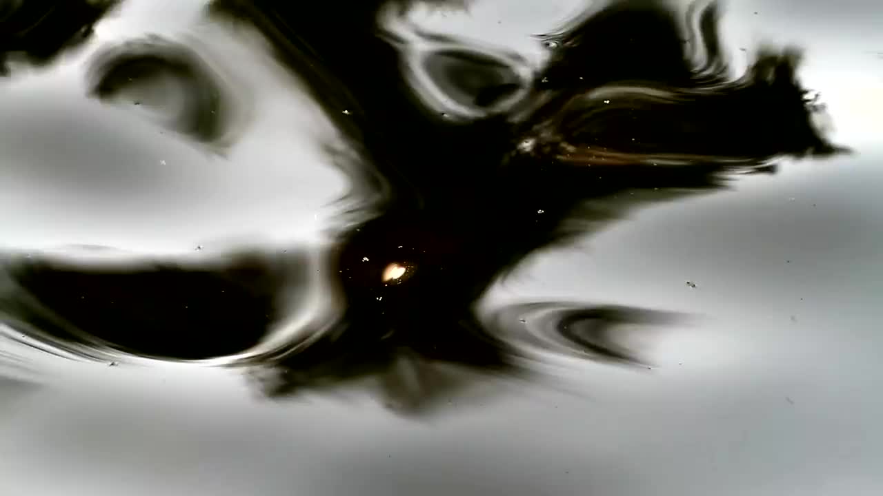Free Stock Video Reflections In The Water Live Wallpaper