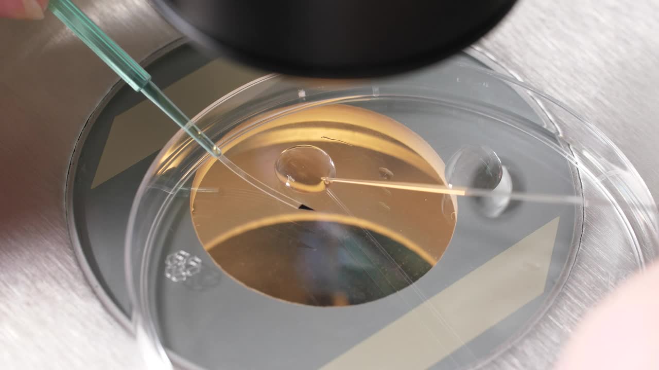 Free Stock Video Researcher Using A Microscope Live Wallpaper