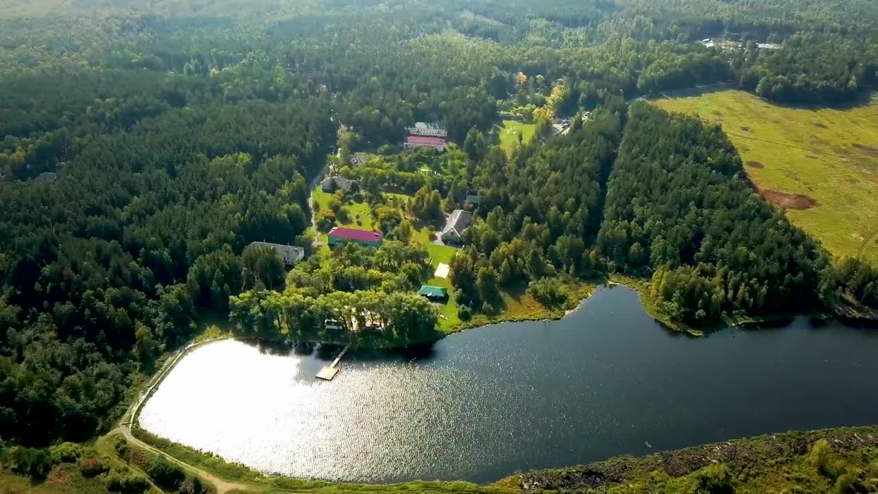 Free Stock Video Resort Deep In A Forest Live Wallpaper