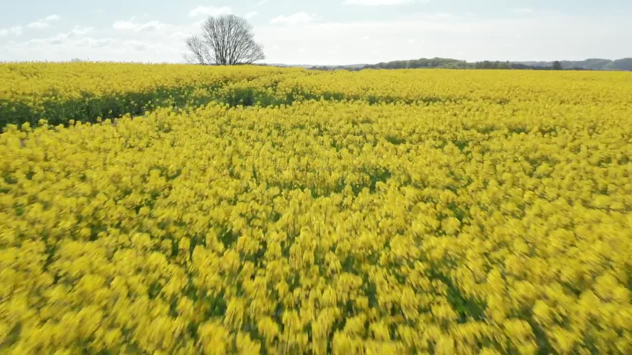 Free Stock Video Reverse Flying Over A Field Live Wallpaper
