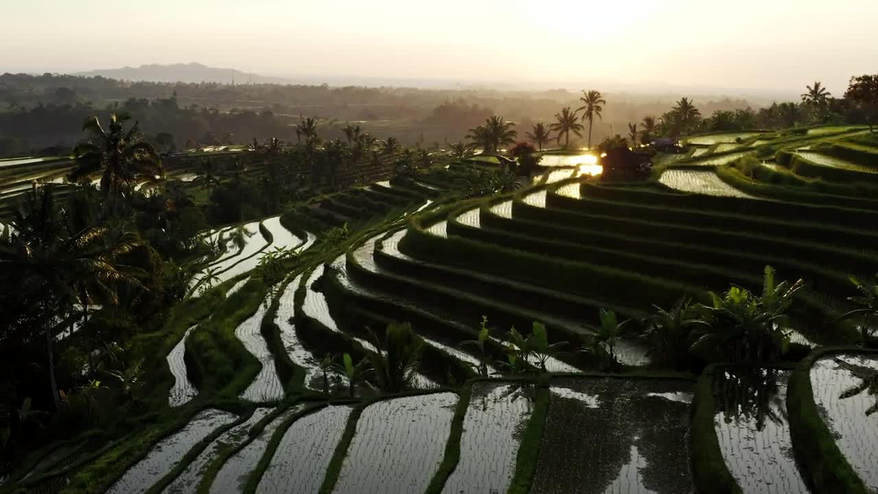 Free Stock Video Rice Terrace Filled With Water Aerial Shot Live Wallpaper