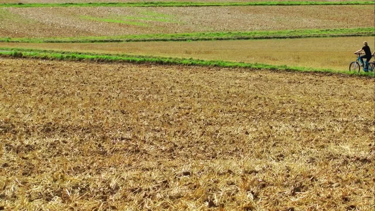 Free Stock Video Riding A Bicycle In The Agriculture Fields Live Wallpaper